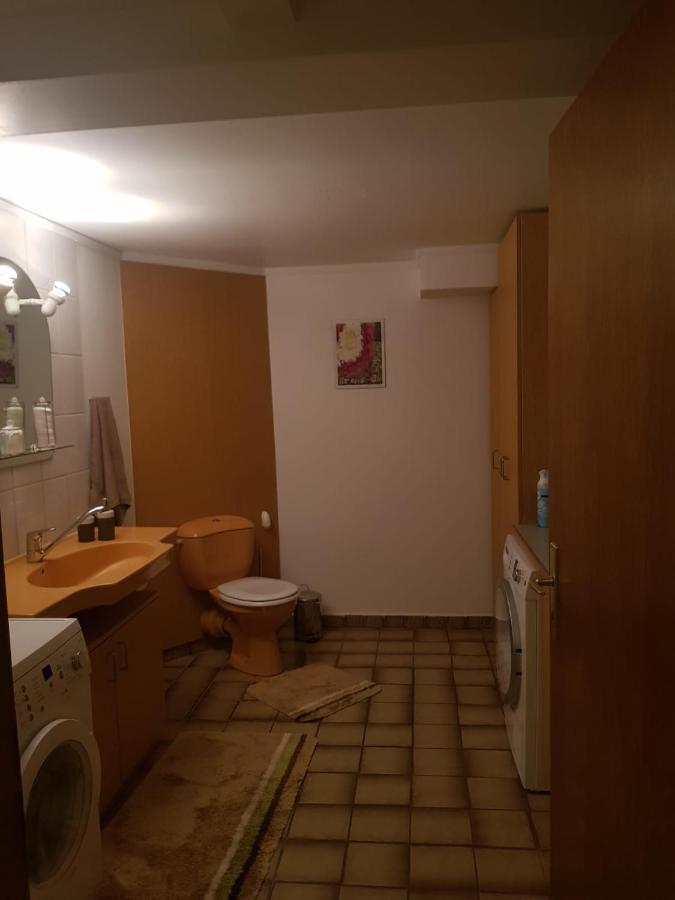 Gemuetliche Ferienwohnung Mit Kamin Und Sauna! Nistertal Экстерьер фото