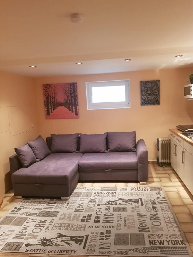 Gemuetliche Ferienwohnung Mit Kamin Und Sauna! Nistertal Экстерьер фото